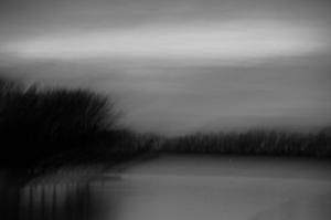 0008 - DSC 0011-1