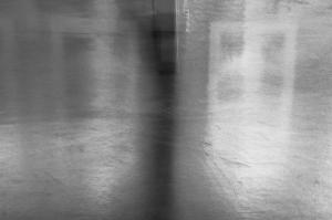 0017 - DSC 0050